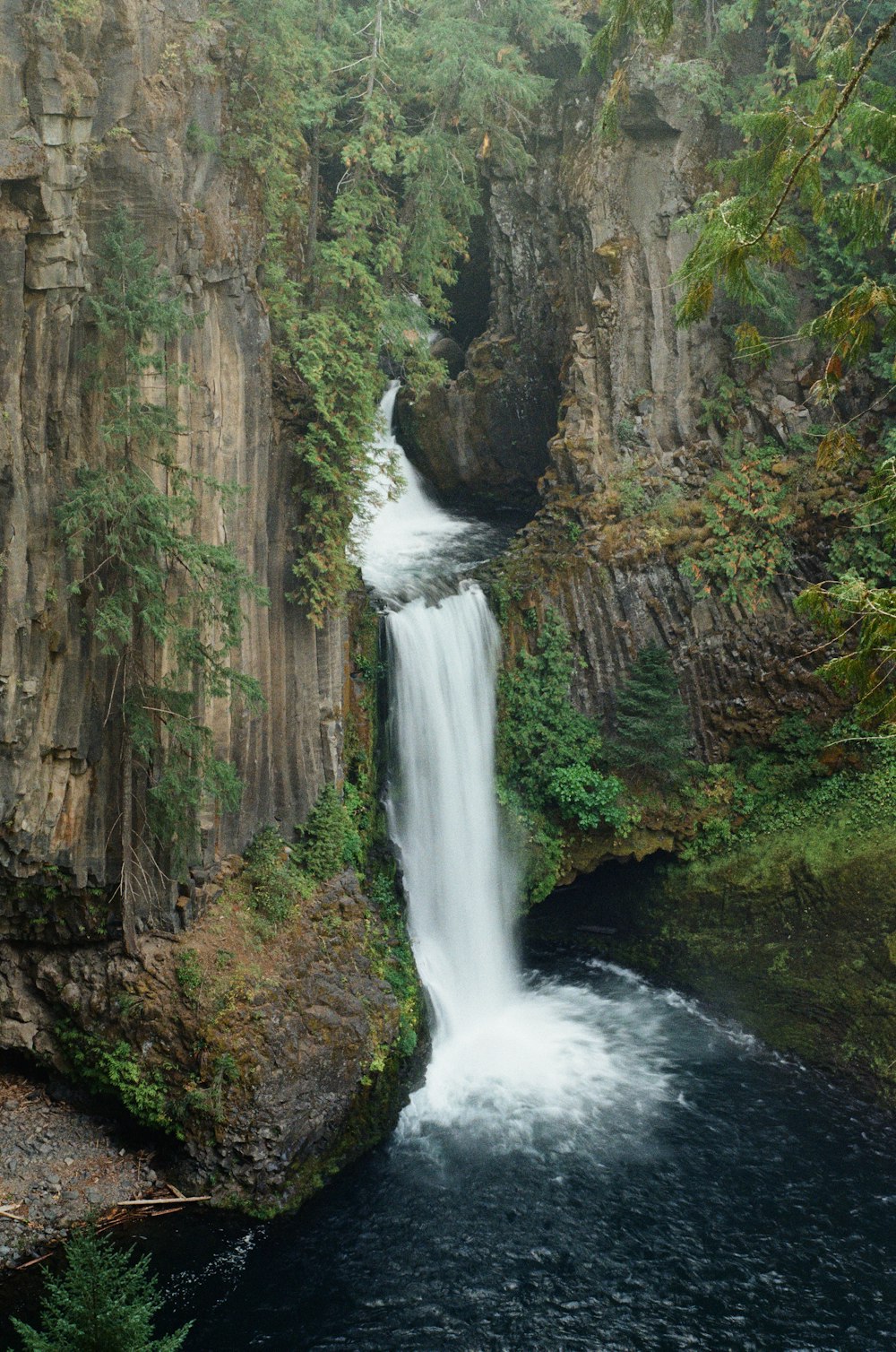 a waterfall in the middle of a forest