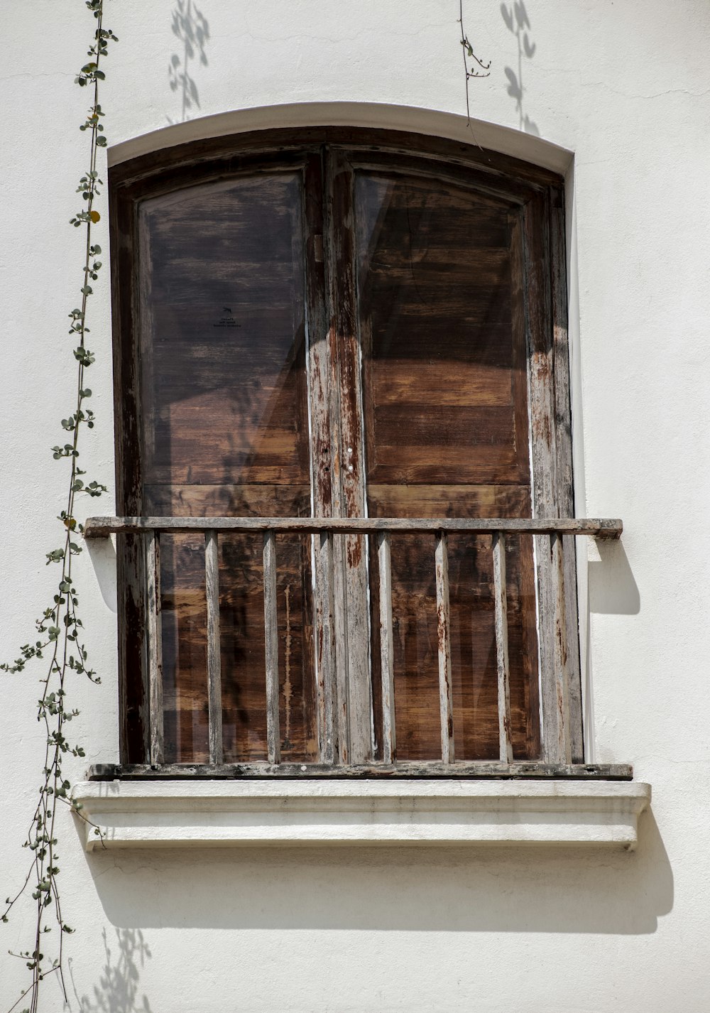 a window with a wooden shutter and a plant growing out of it