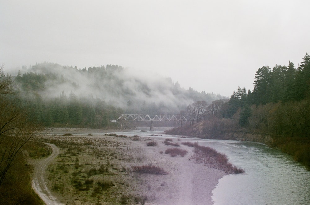 a river running through a lush green forest