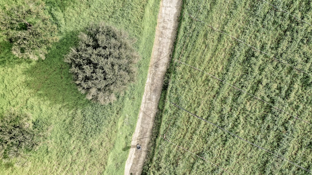 Una vista aérea de un campo con árboles