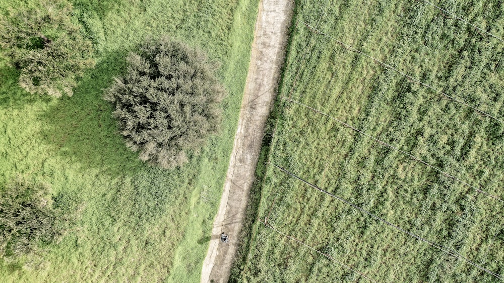 an aerial view of a field with trees