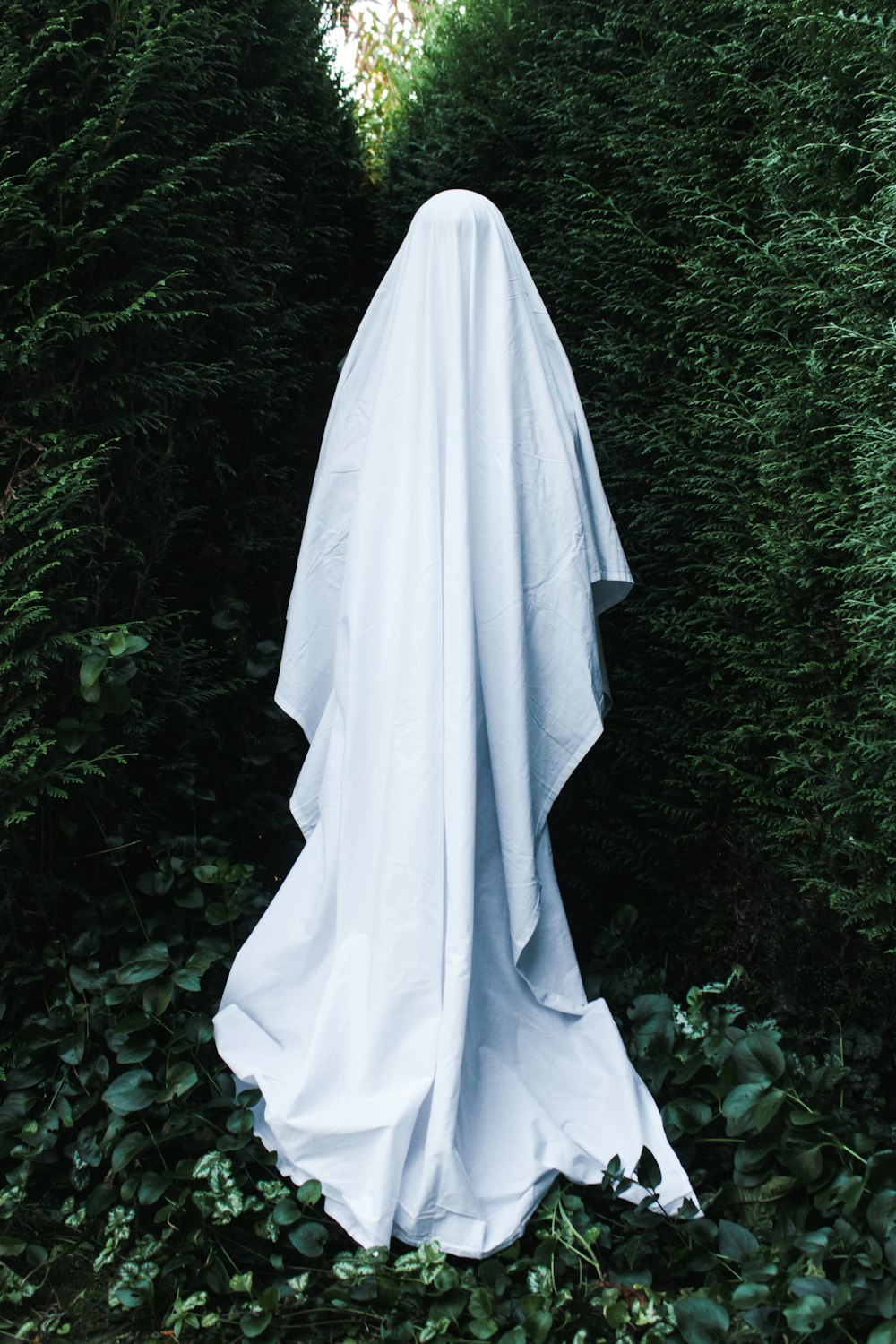 a ghost is standing in the middle of a hedge