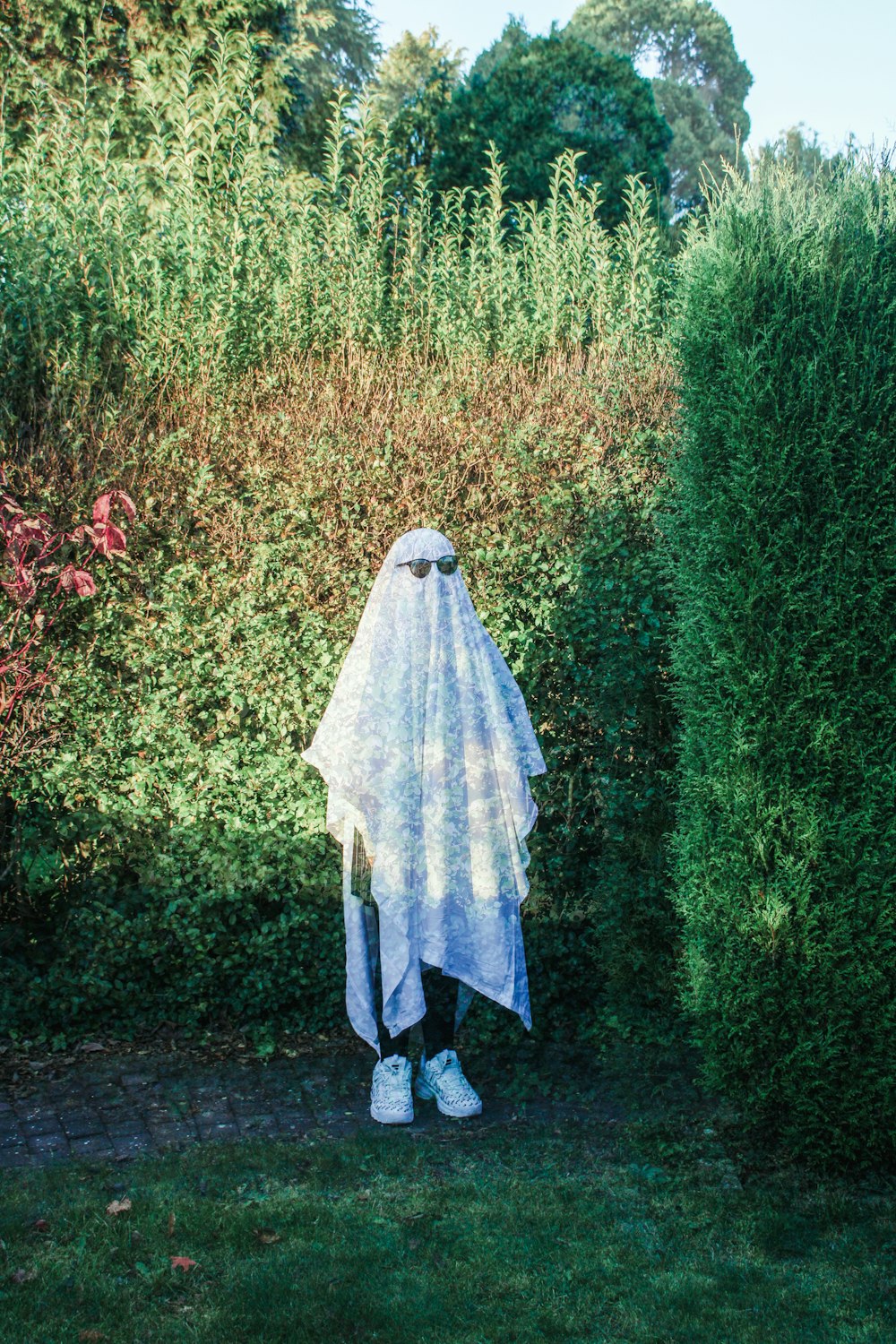 a woman in a white veil standing in front of a hedge
