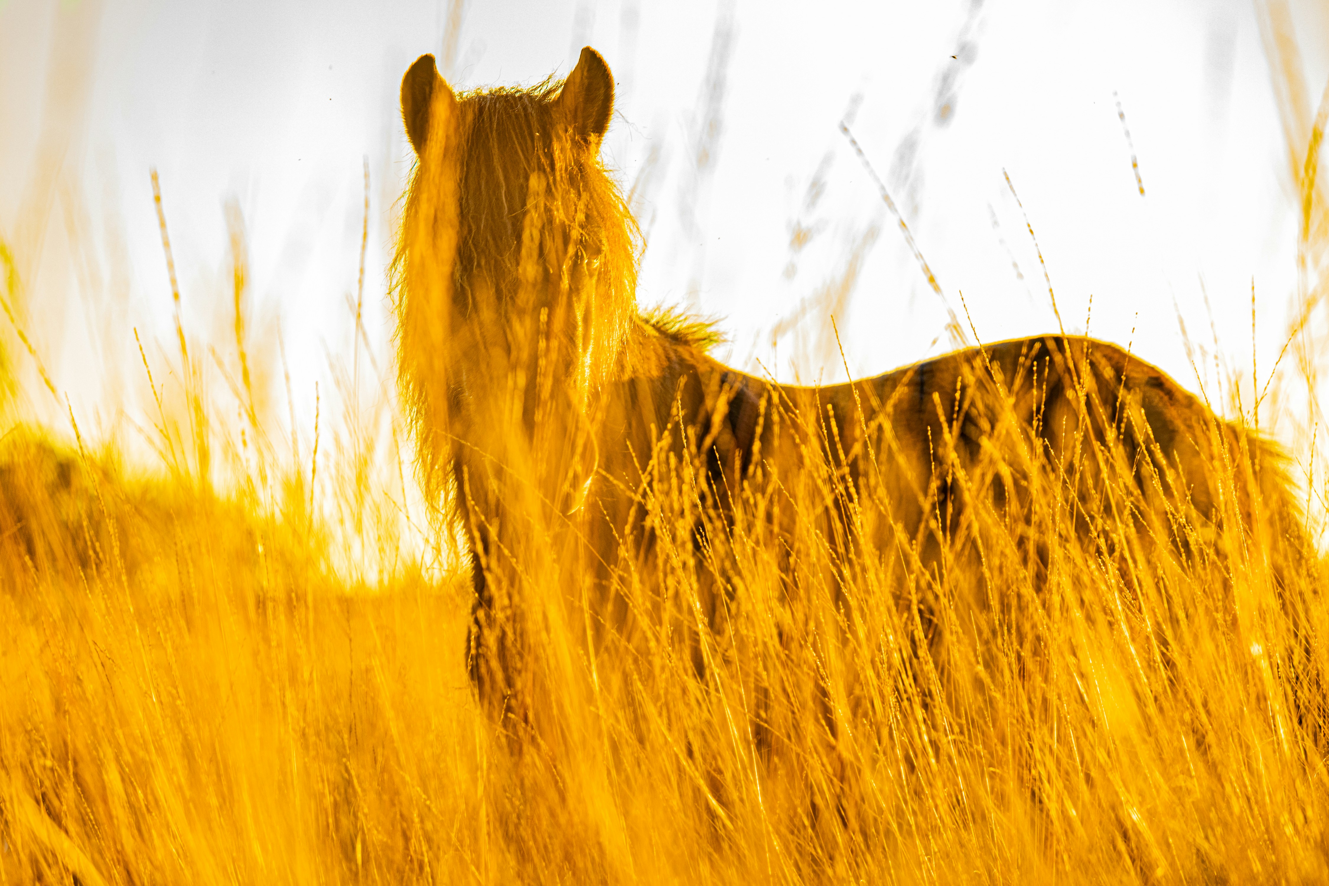 Photo by barendkaas