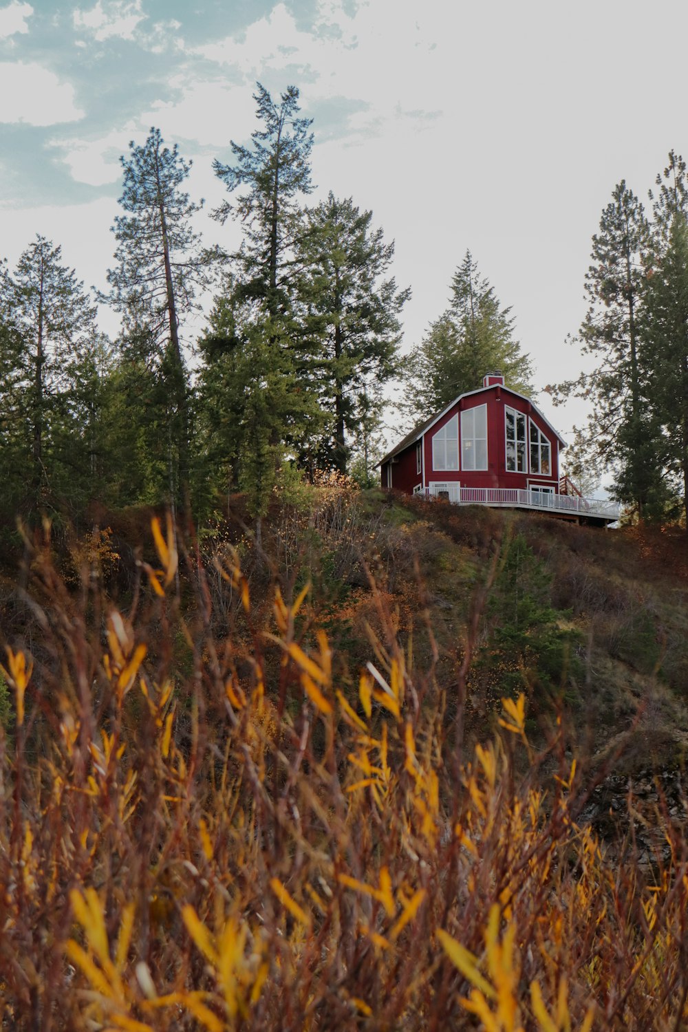 a red house sitting on top of a lush green hillside