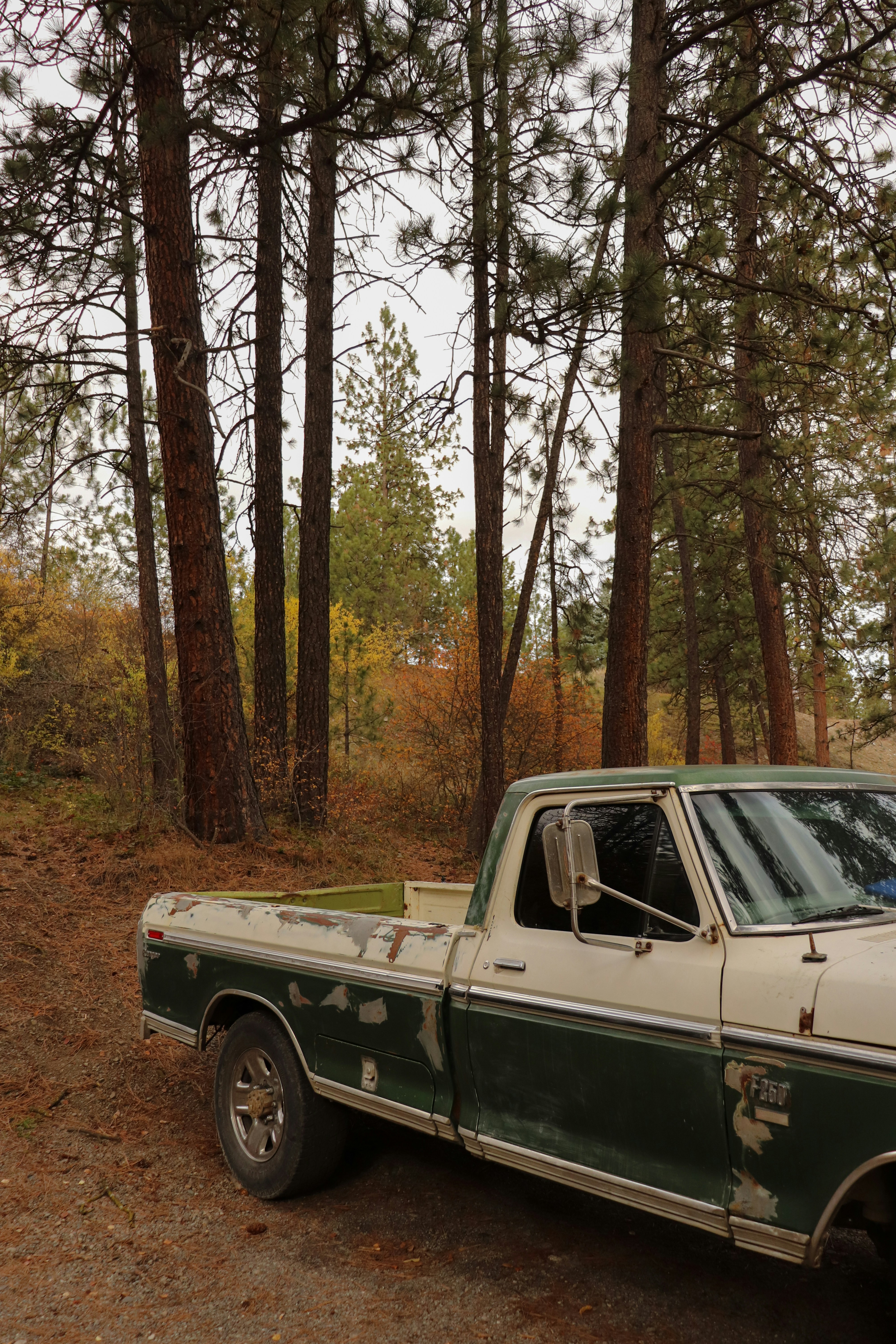 A green and white truck parked in the woods photo – Free Autumn Image ...