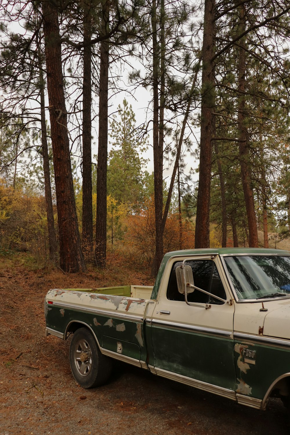 a green and white truck parked in the woods