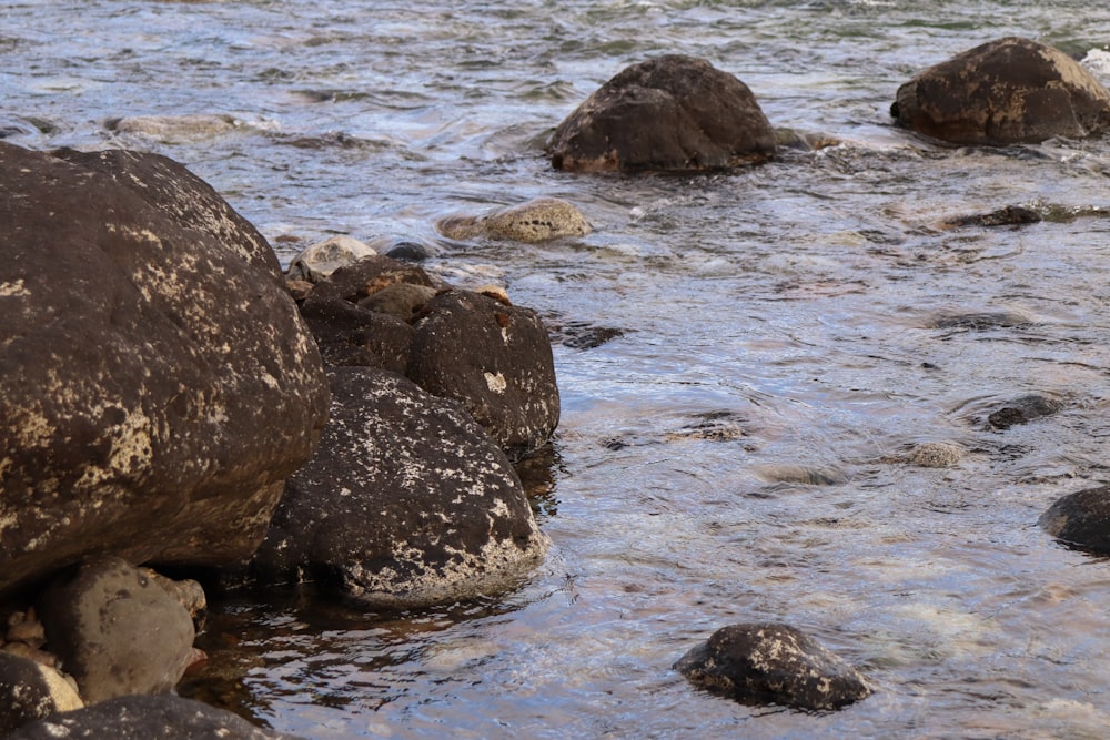 a bunch of rocks that are in the water