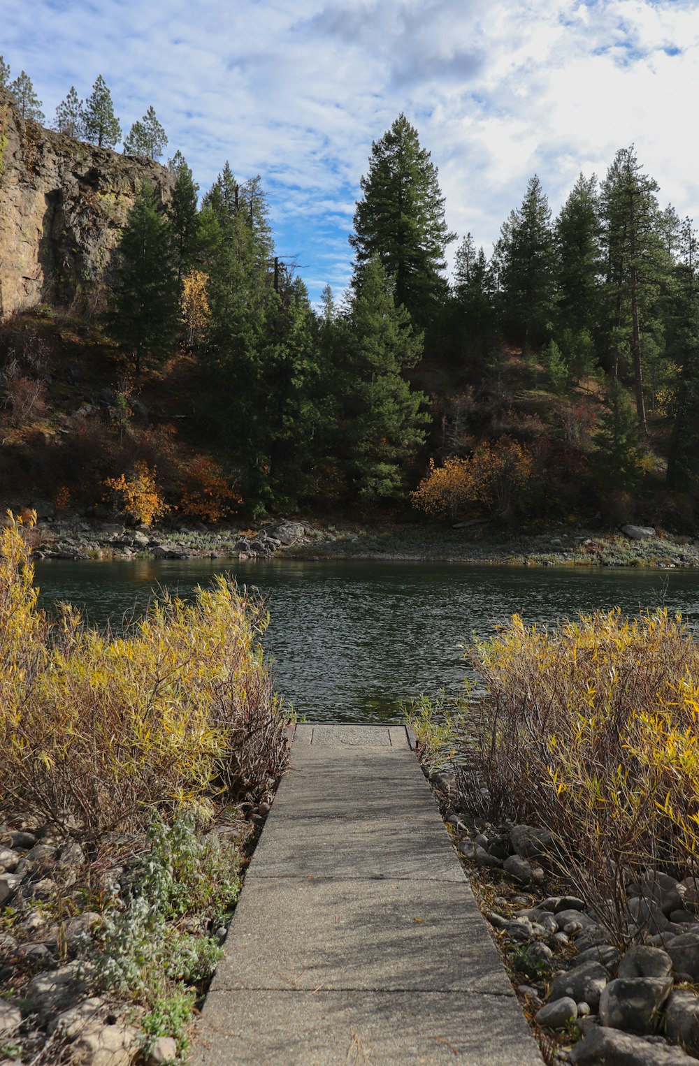 a path leading to a lake surrounded by trees