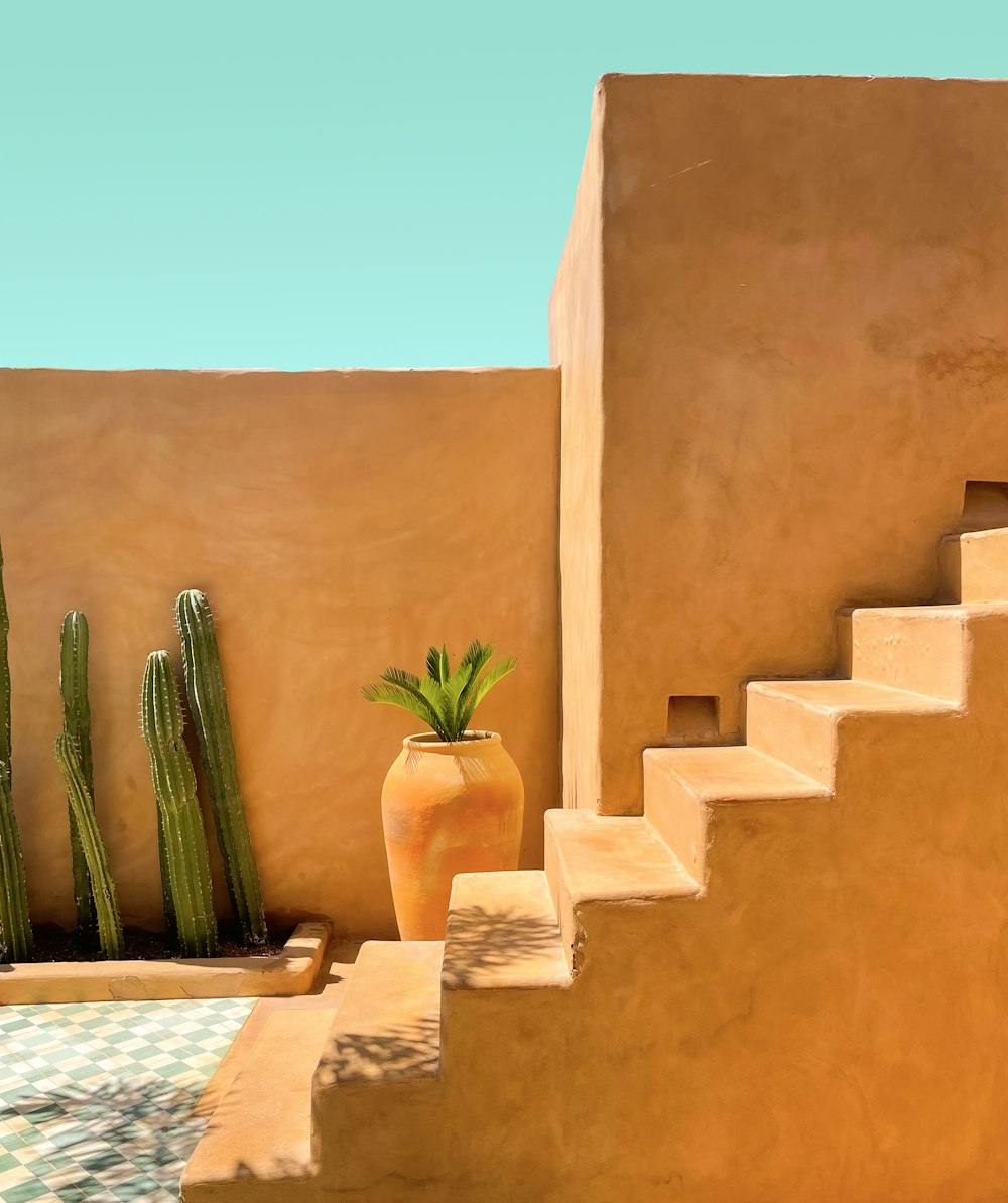 a vase with a plant sitting on top of a set of steps