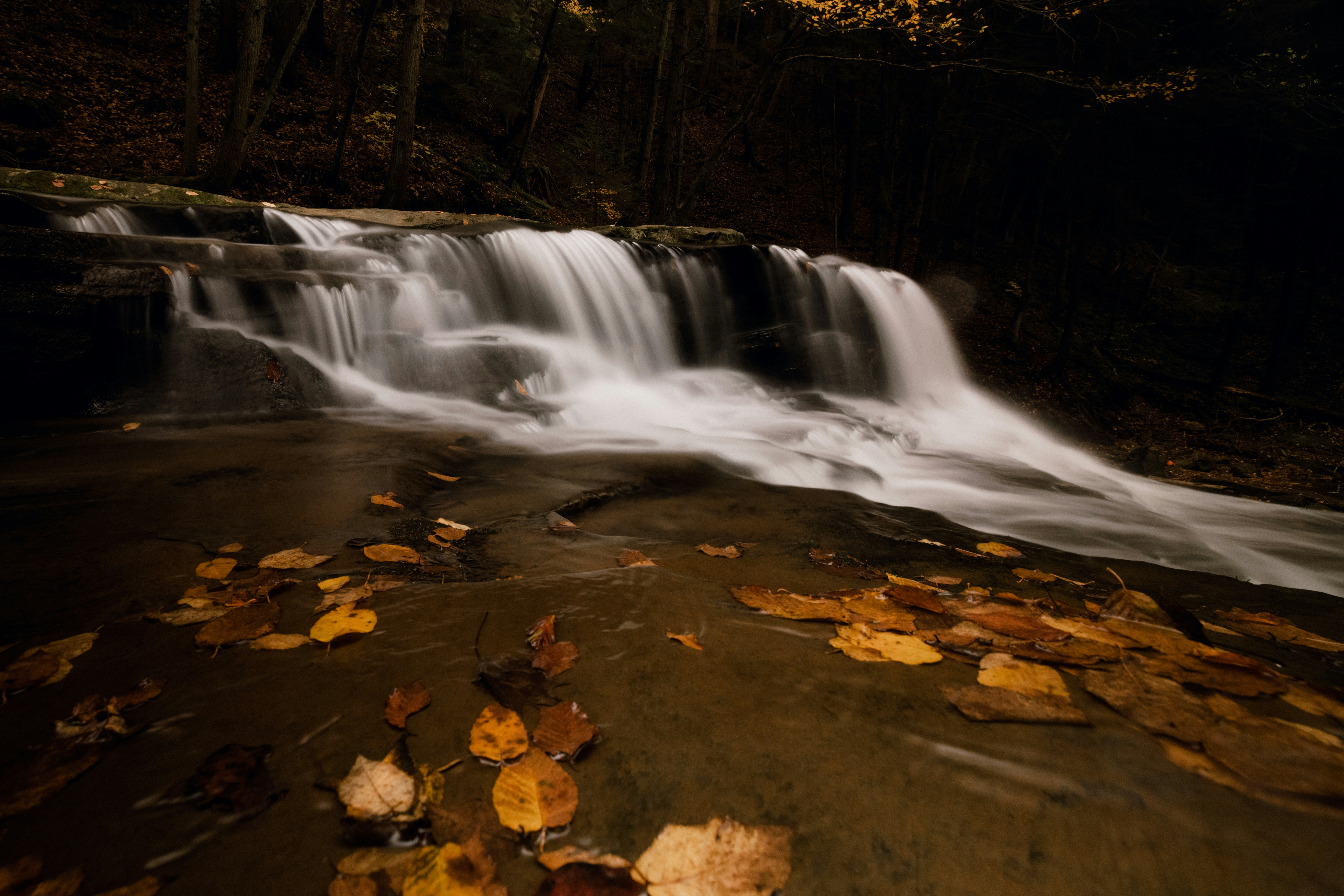 Photo by drosie