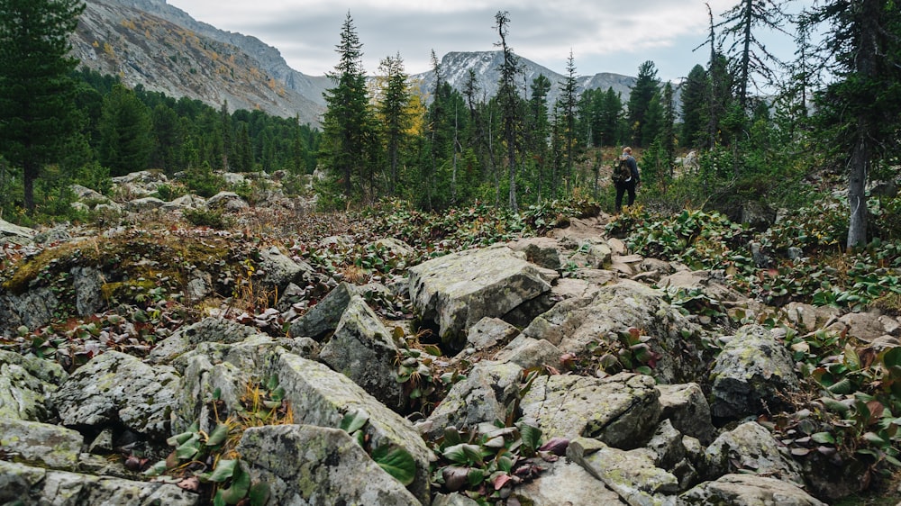 a person walking on a rocky trail in the woods