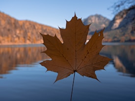 A large, detailed maple leaf is held up close, silhouetted against a serene lake and mountainous landscape in the background. The warm tones of the autumn foliage complement the cool blue of the water.