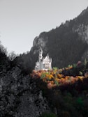 A historic castle surrounded by autumn foliage.