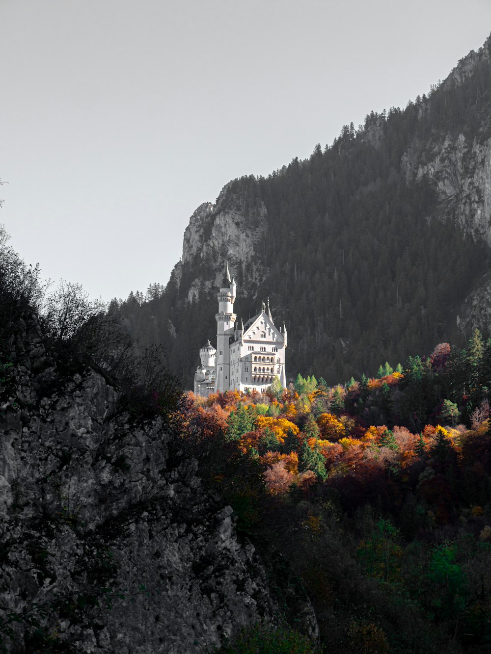 a castle on a hill surrounded by trees