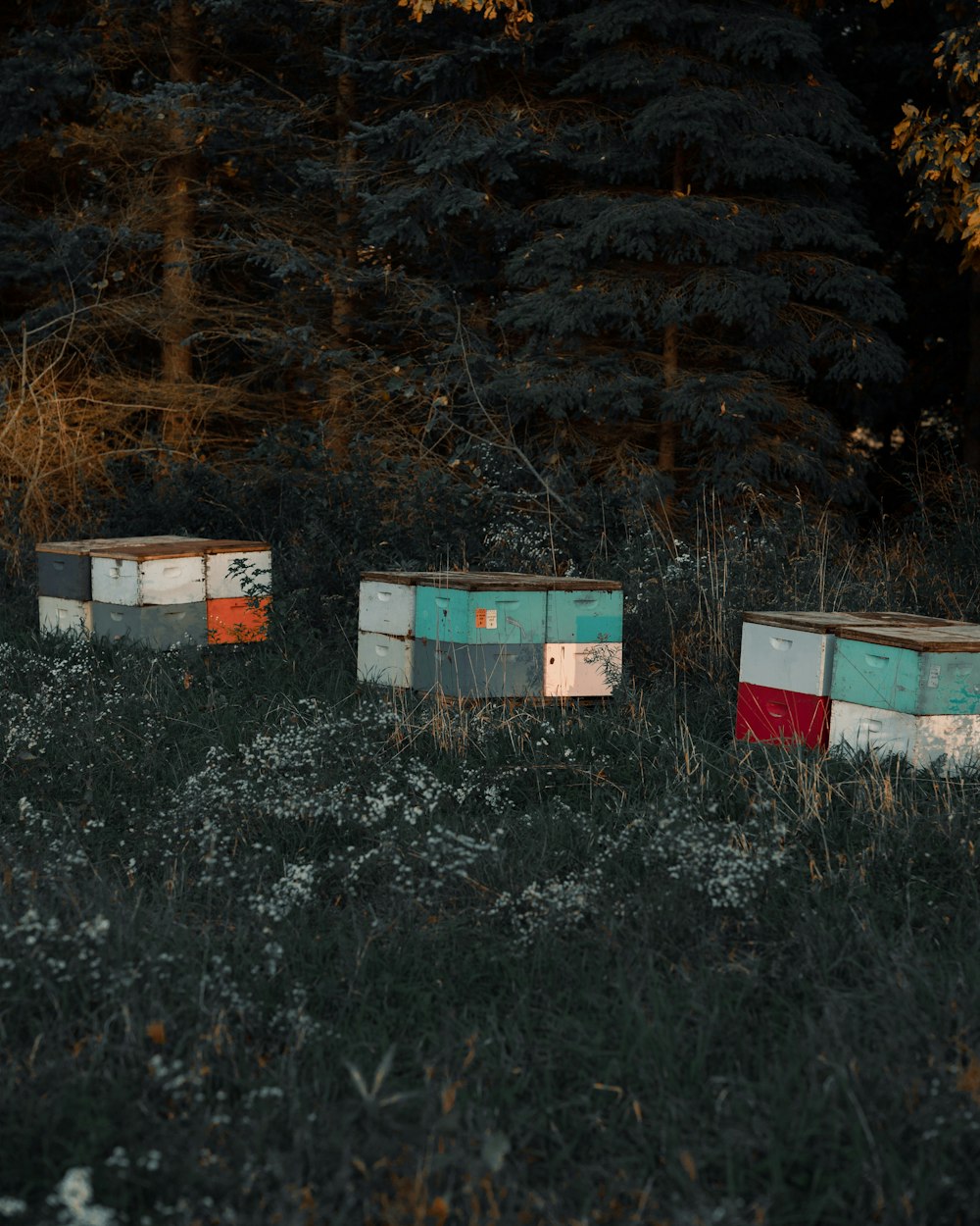 three beehives in a field with trees in the background