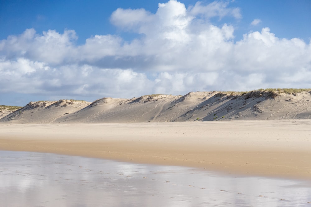 a beach with sand dunes and a body of water