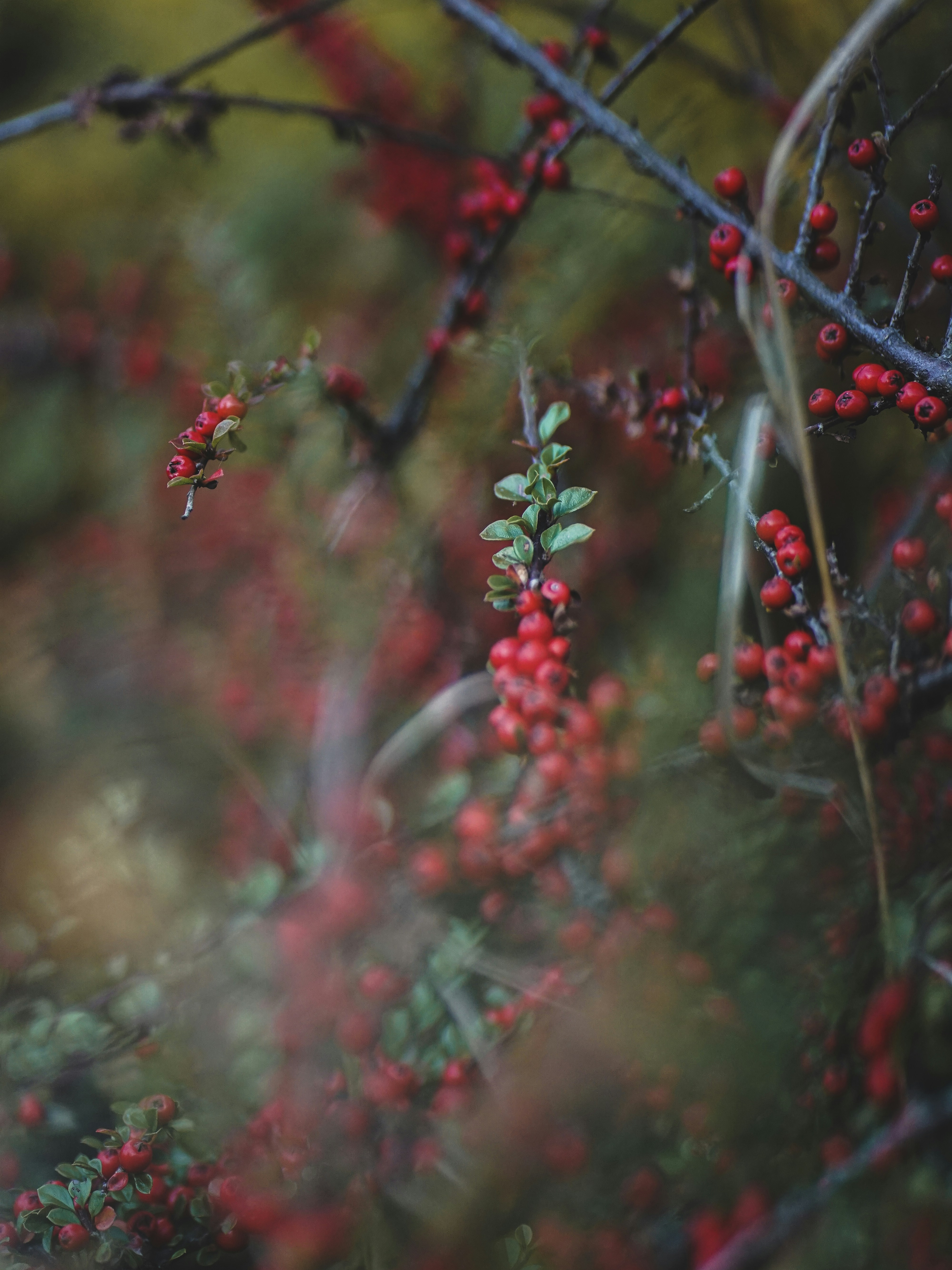 Photo by isabelnoschka