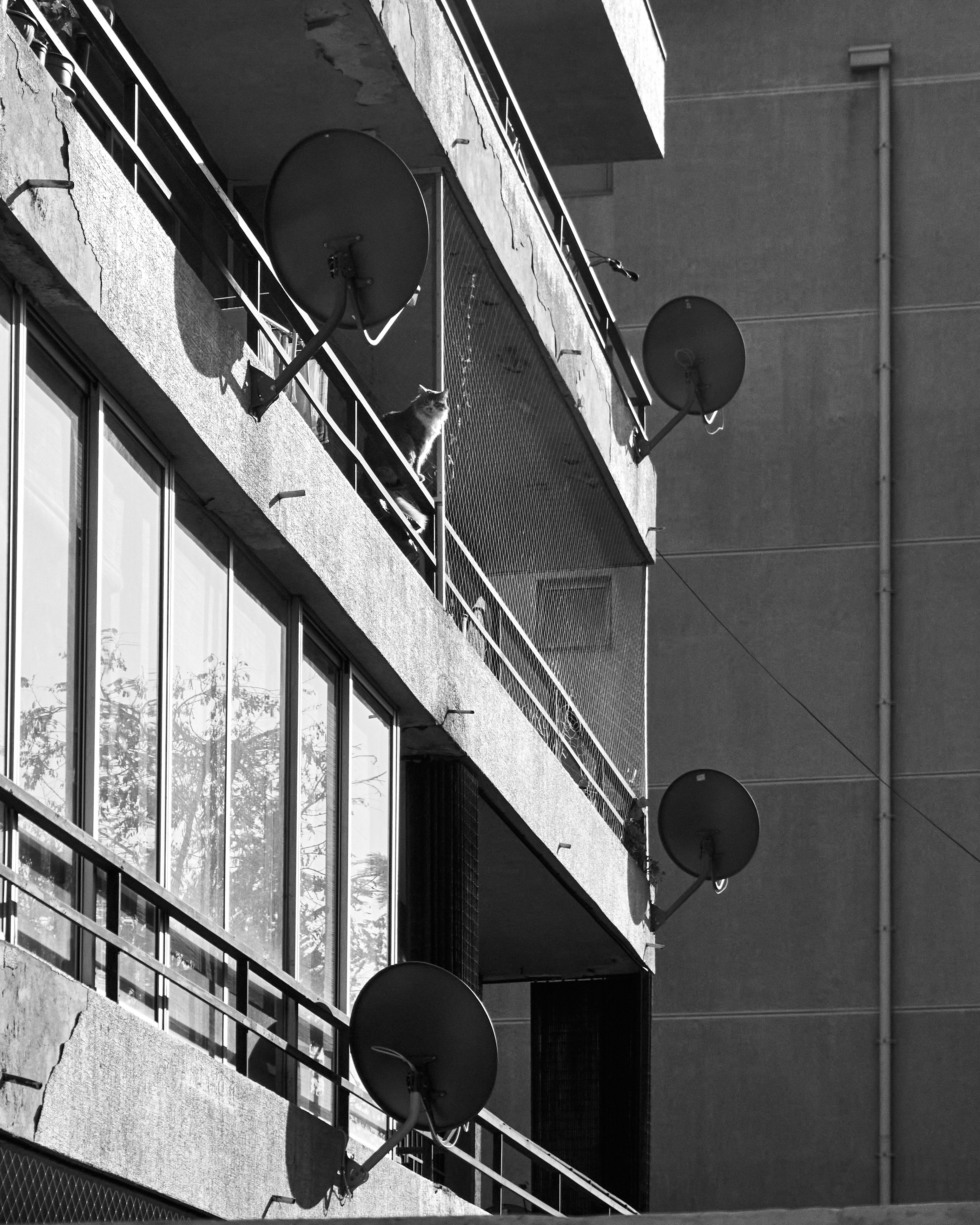 Photo by amenabarladrondeguevara