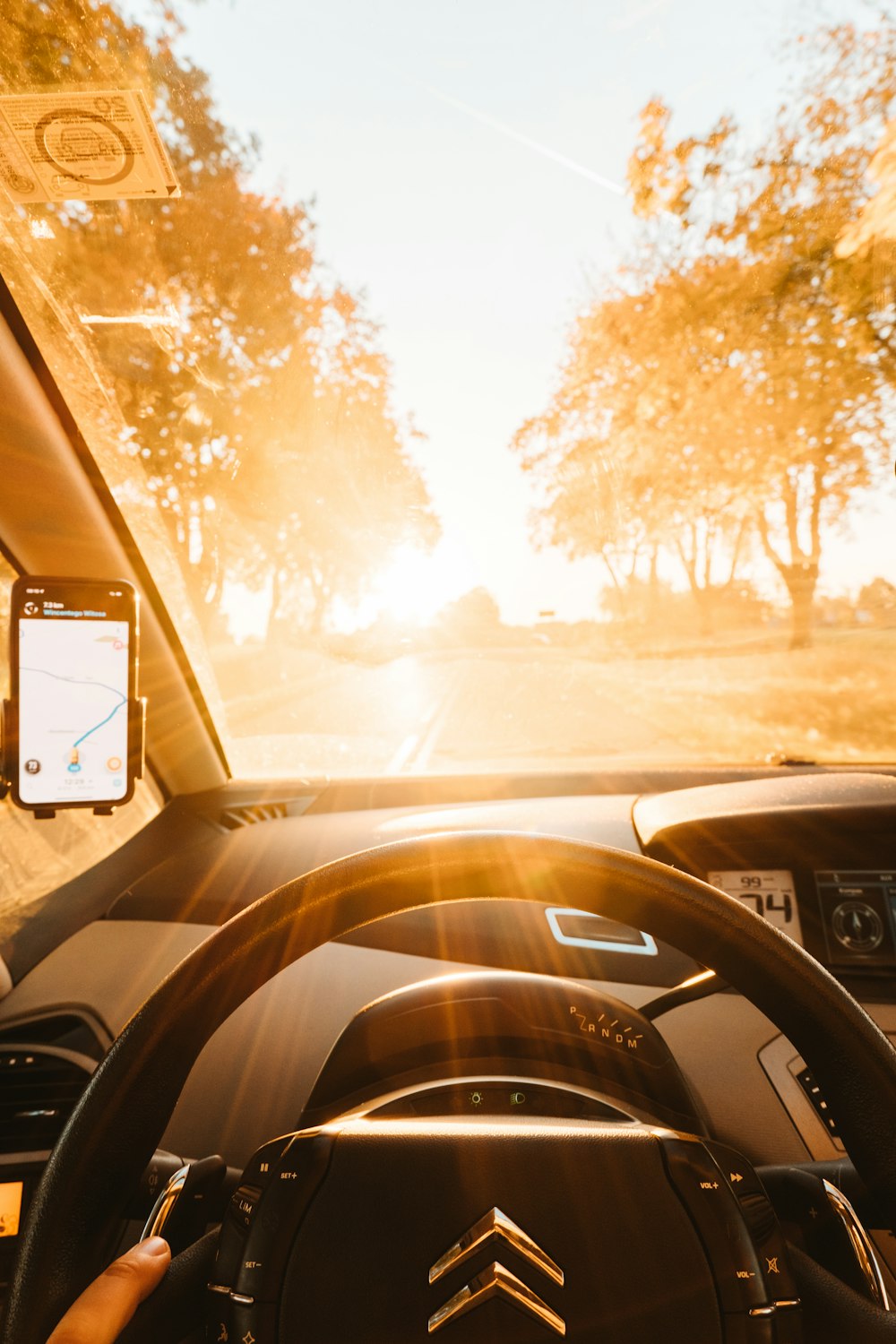 a person driving a car on a sunny day