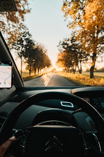 a person driving a car on a country road