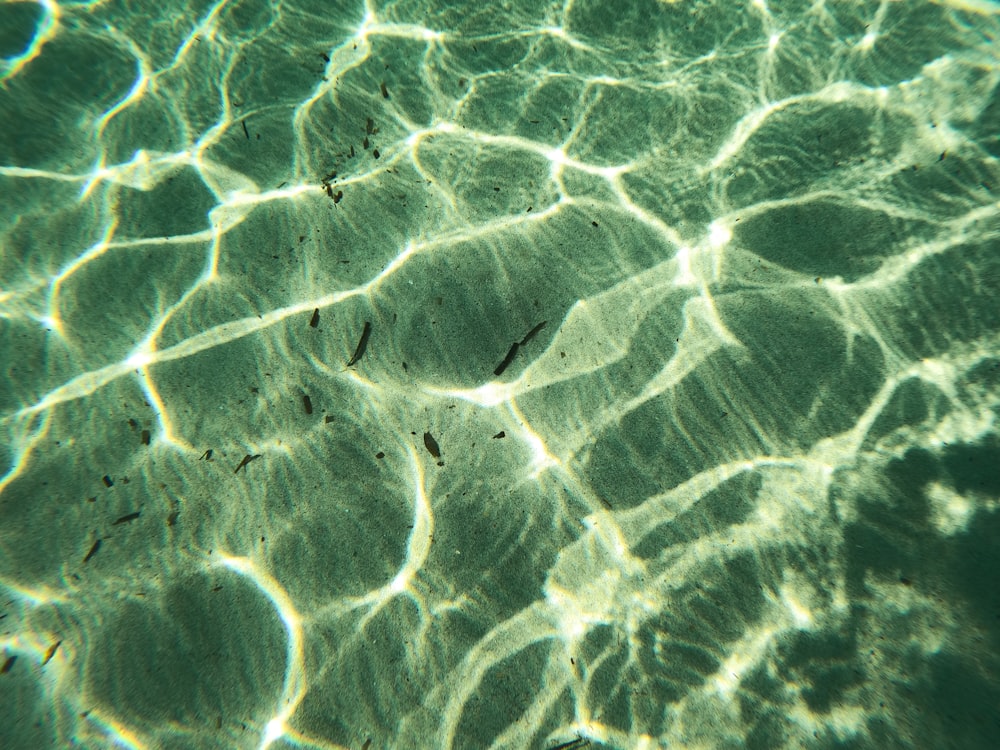 a close up view of a pool of water