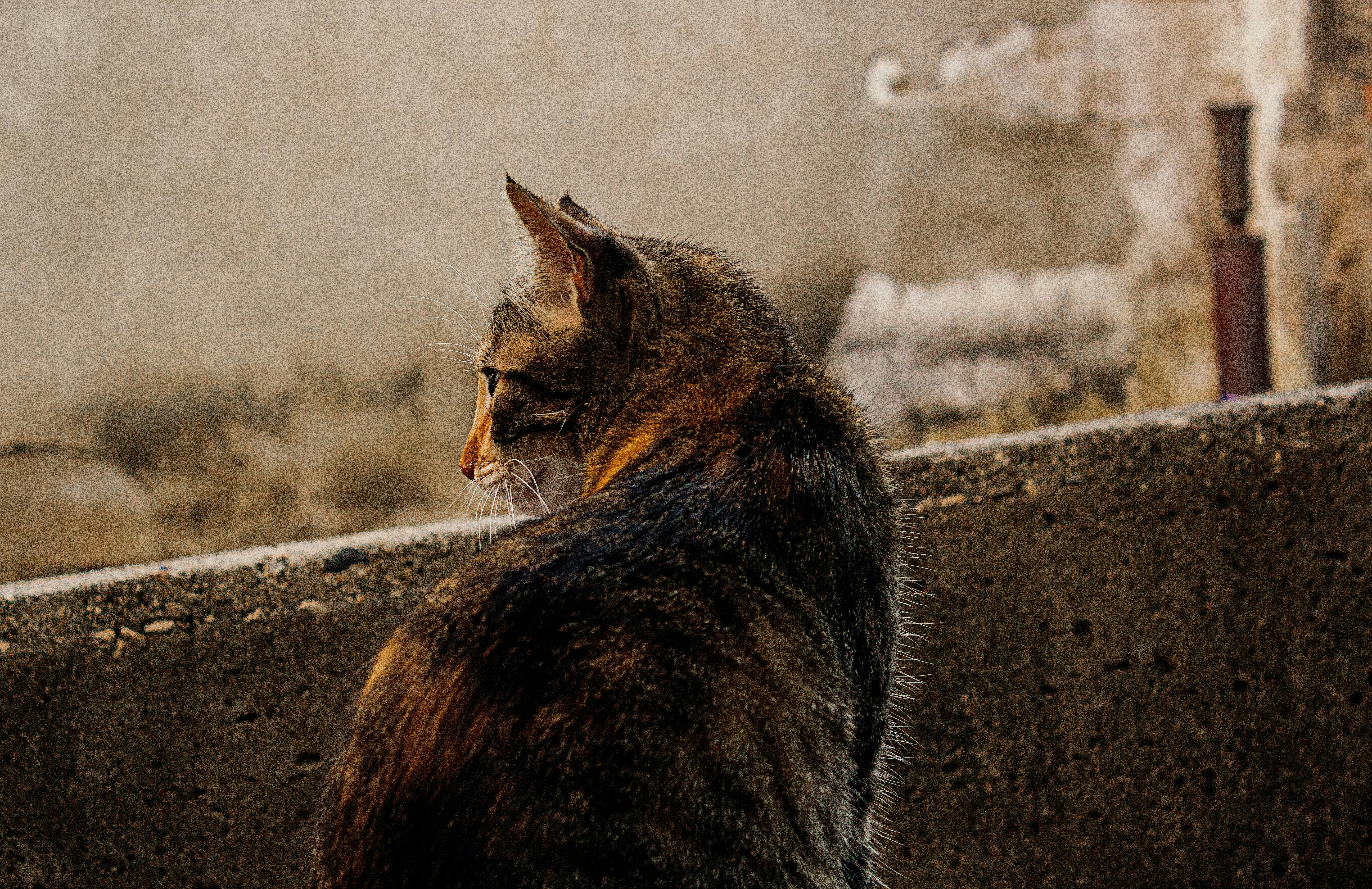 Photo by andreimarinho