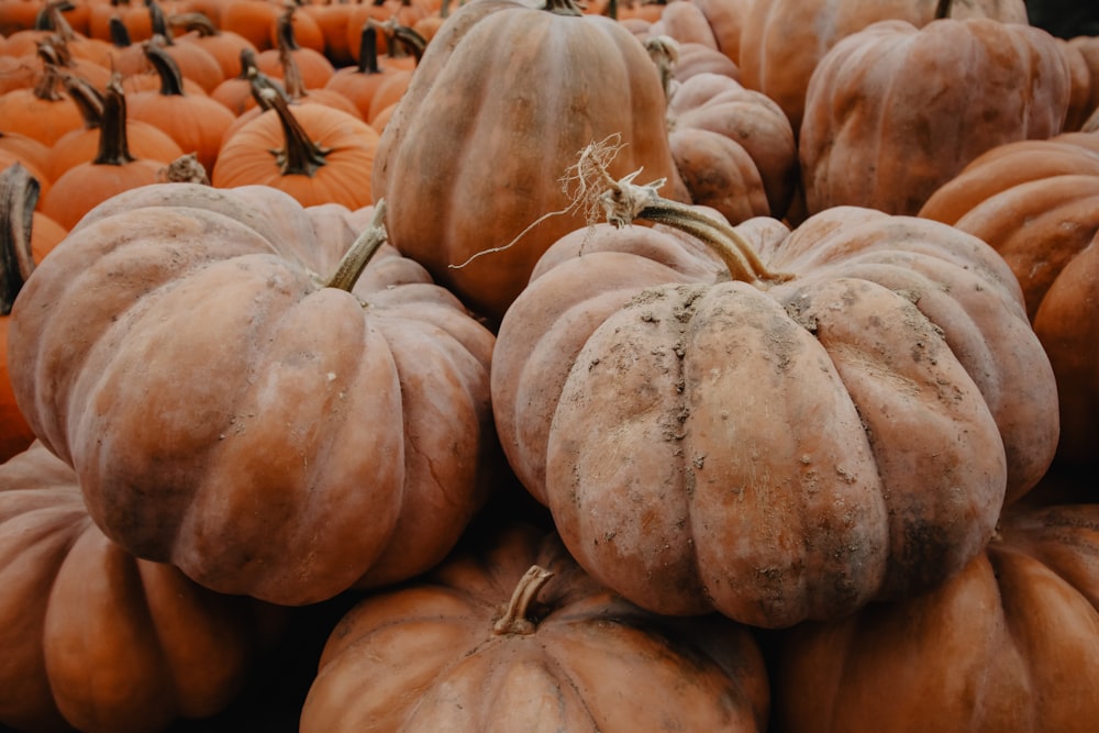 a pile of pumpkins sitting on top of each other