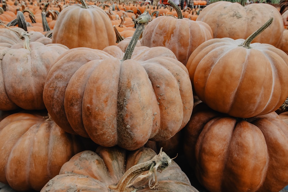 a large group of pumpkins stacked on top of each other