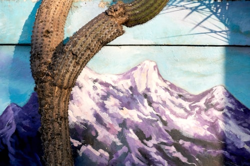 A textured cactus trunk stands prominently in front of a painted mural depicting a snowy mountain landscape. The mural features shades of purple and white for the mountains, contrasted with a blue sky. Sunlight casts shadows on the mural, adding depth and texture to the scene.