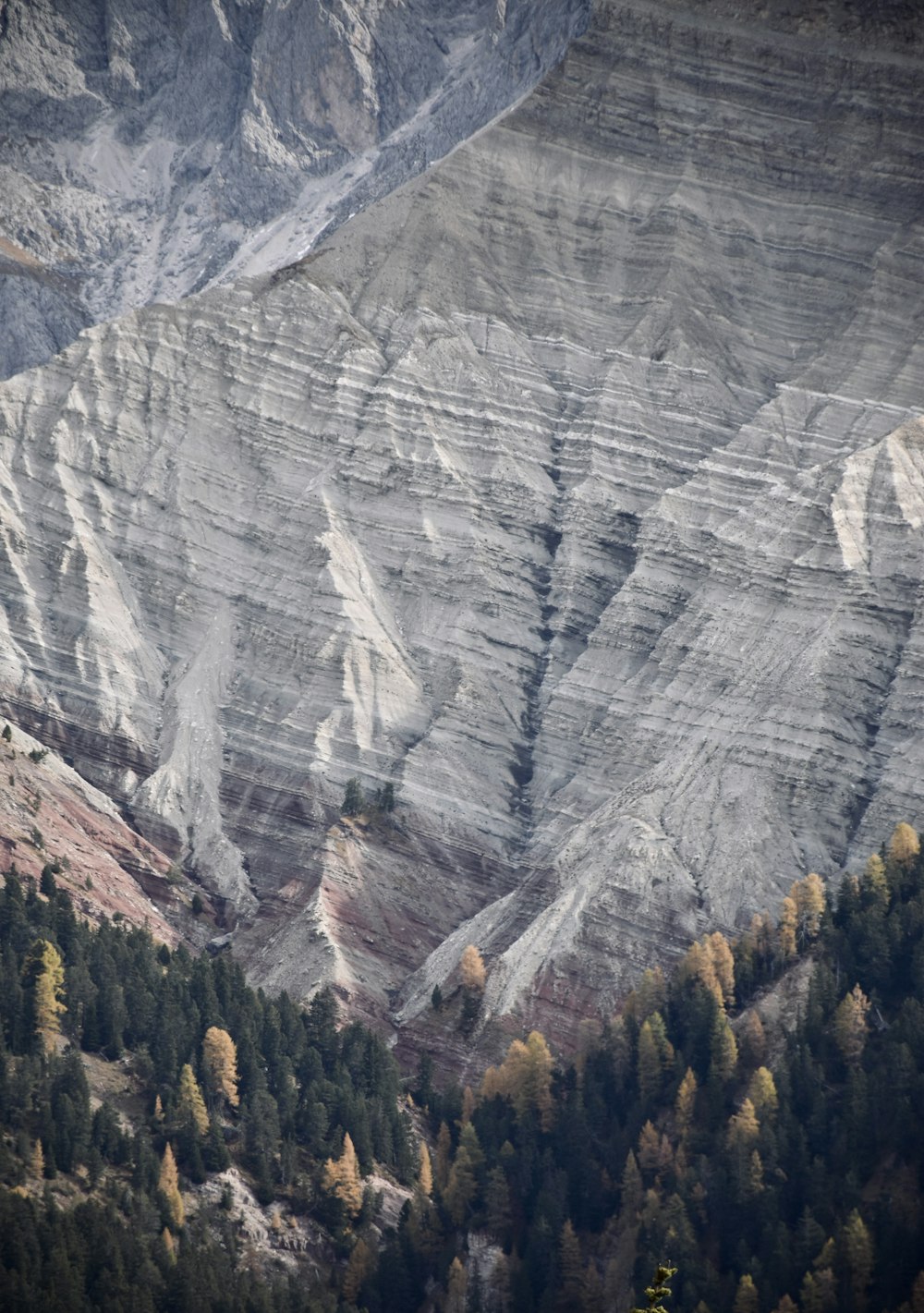 a view of a mountain range with trees in the foreground