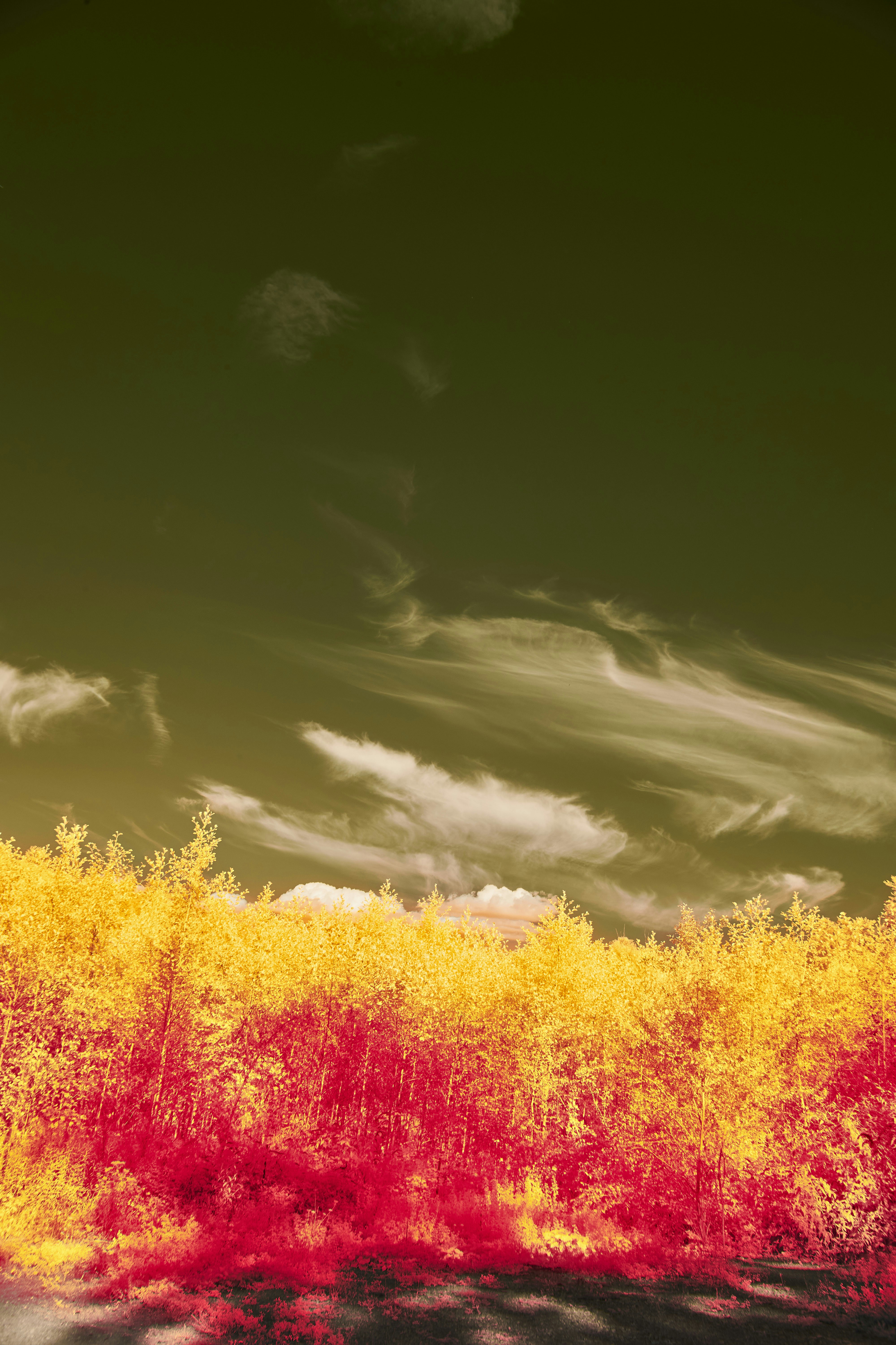 Photo by wolfgang_hasselmann