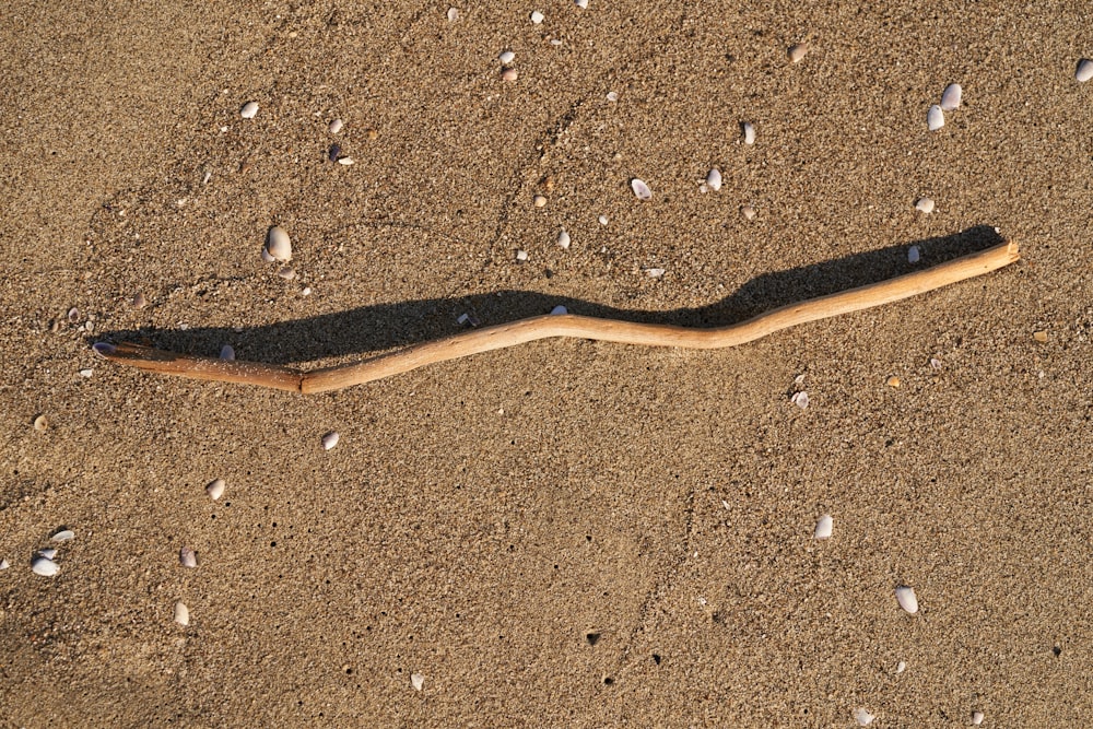 a wooden object laying in the sand on the beach