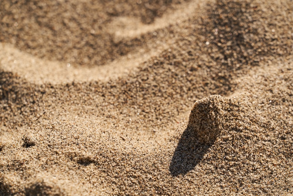 a bird's footprints in the sand on a beach