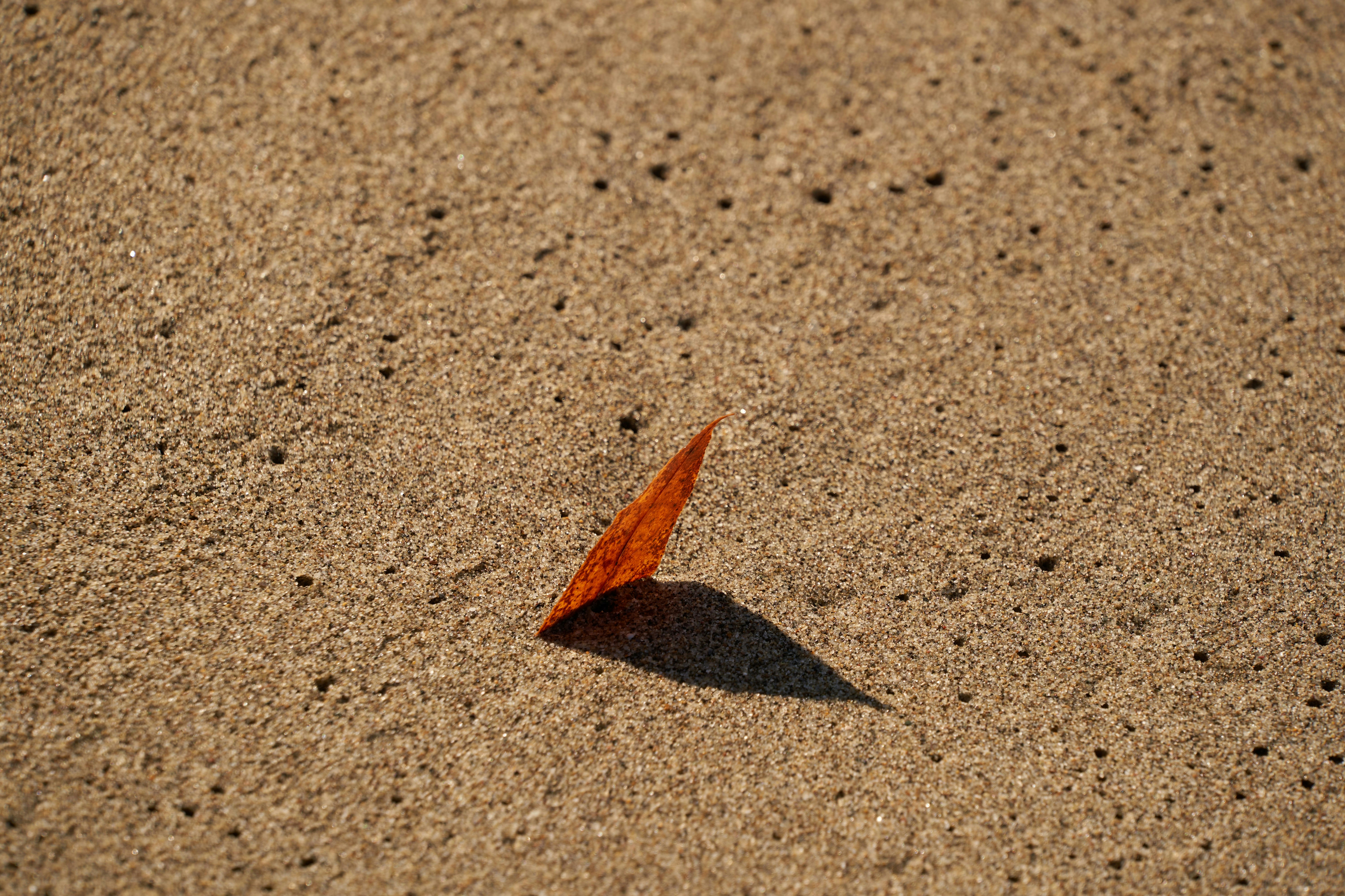 Photo by wolfgang_hasselmann