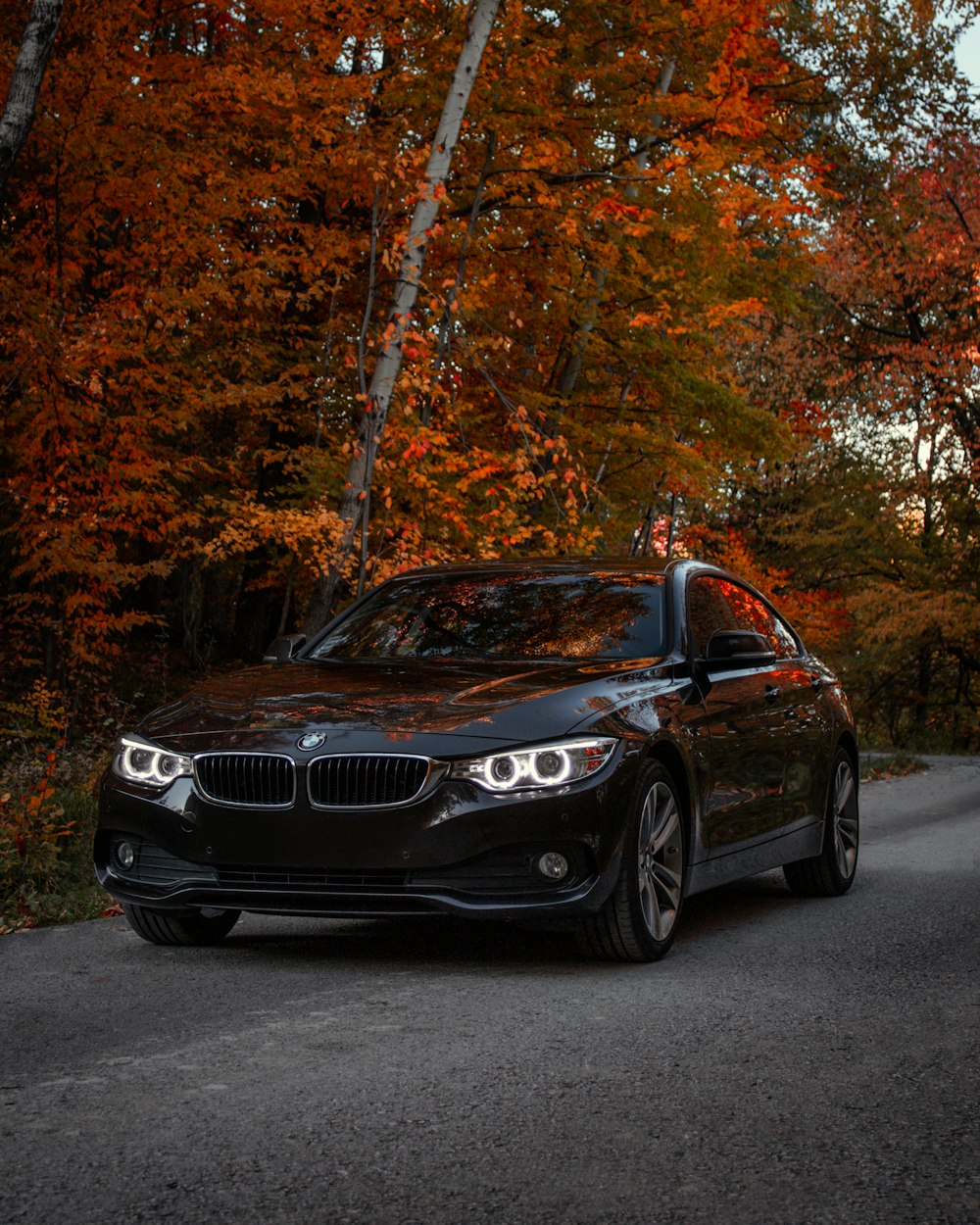 Une voiture noire garée sur le bord d’une route