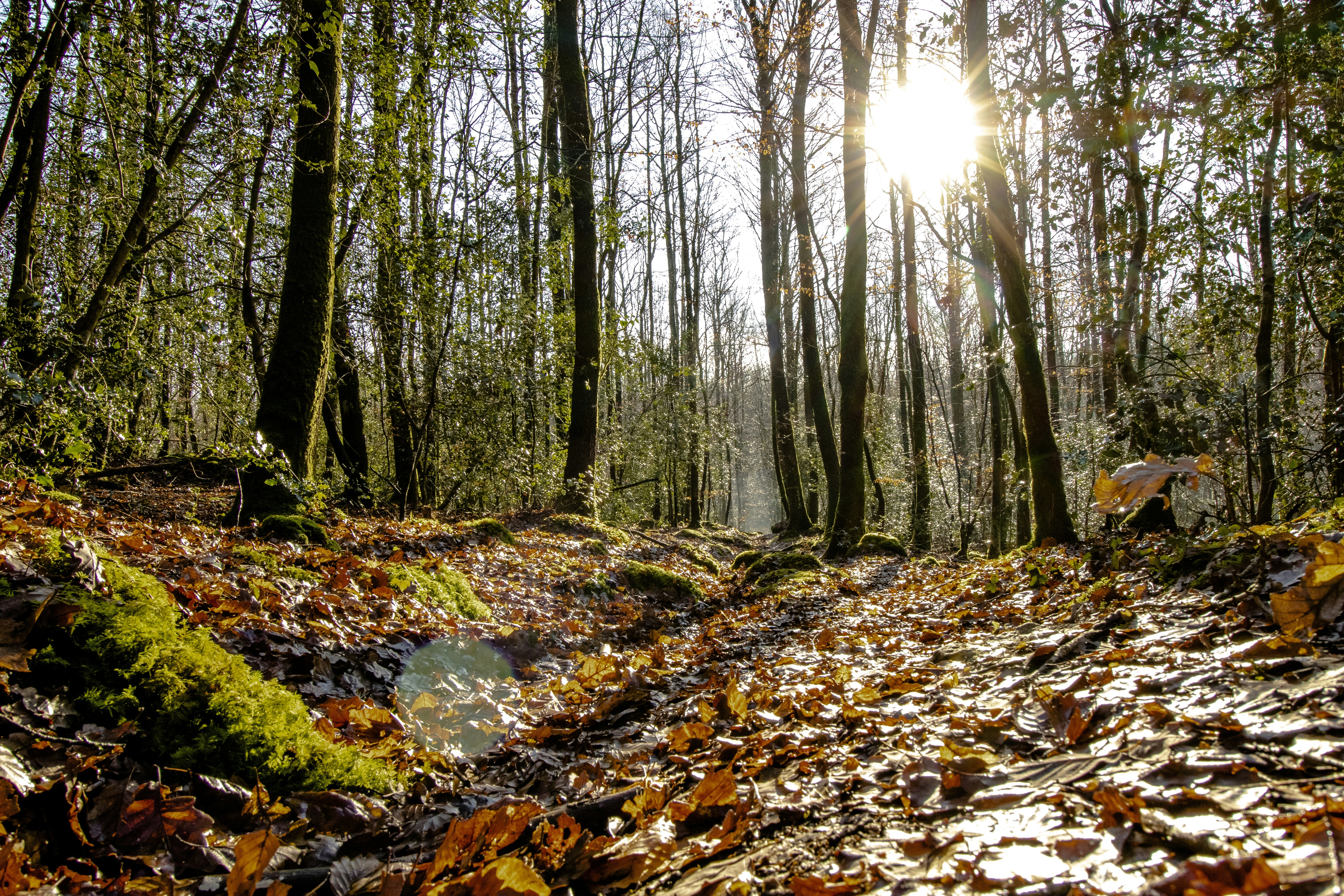 Photo by britosebastian