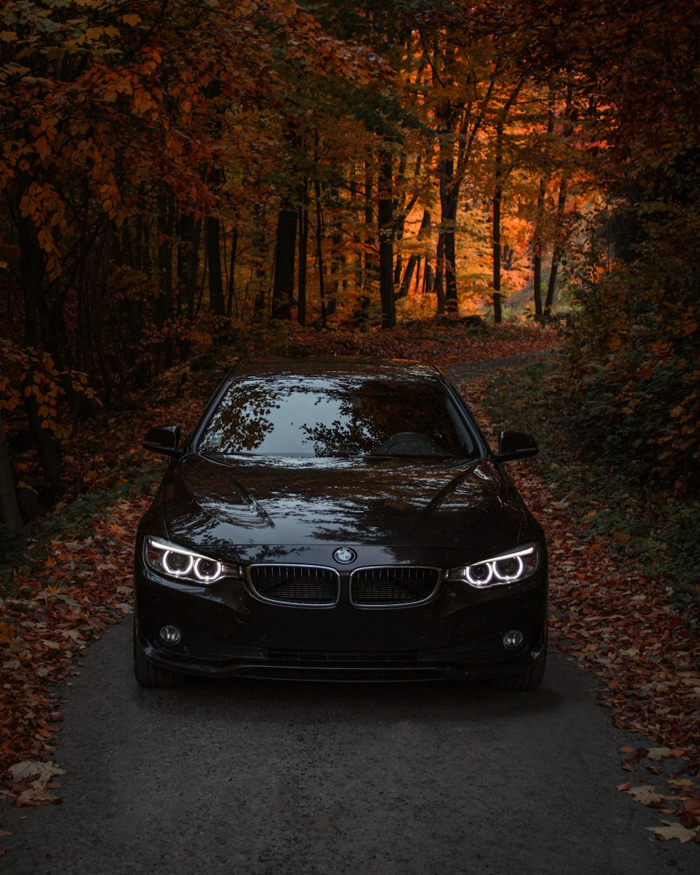 a car parked on the side of a road in the woods