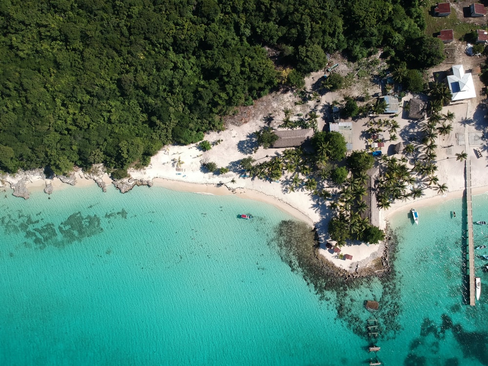 an aerial view of a tropical island with a dock