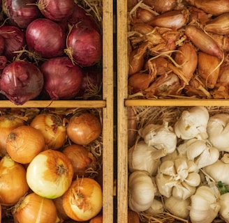 a bunch of different types of onions and onions
