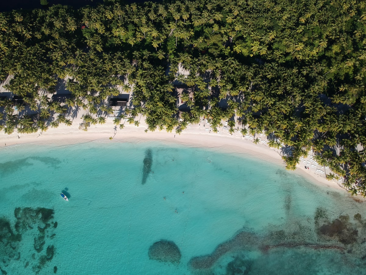 Aerial view of a turquoise cove beach lined with coconut palms and beach loungers in Punta Cana