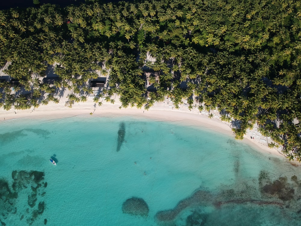 Una vista aérea de una playa con un barco en el agua