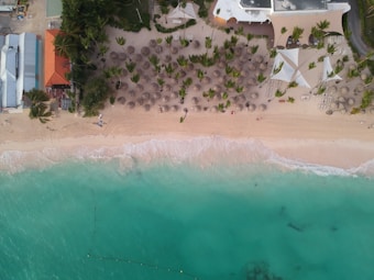 Aerial view of a sandy beach with gentle waves lapping against the shore. Straw umbrellas and sun loungers are scattered across the sand, surrounded by clusters of green palm trees. Buildings with red and white rooftops are visible along the edge of the beach.
