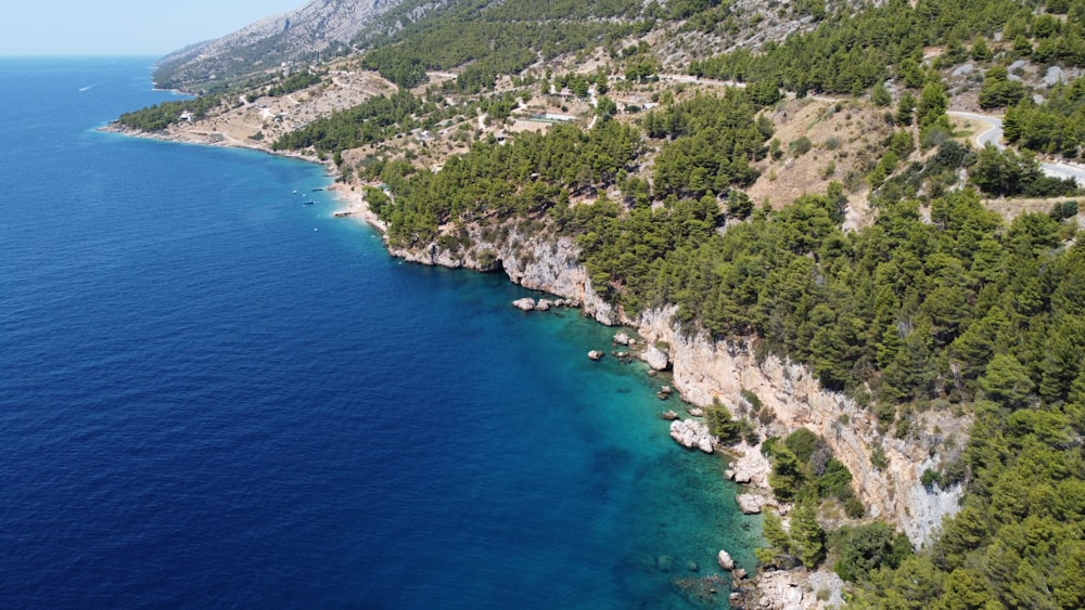 an aerial view of a blue ocean with trees on the shore