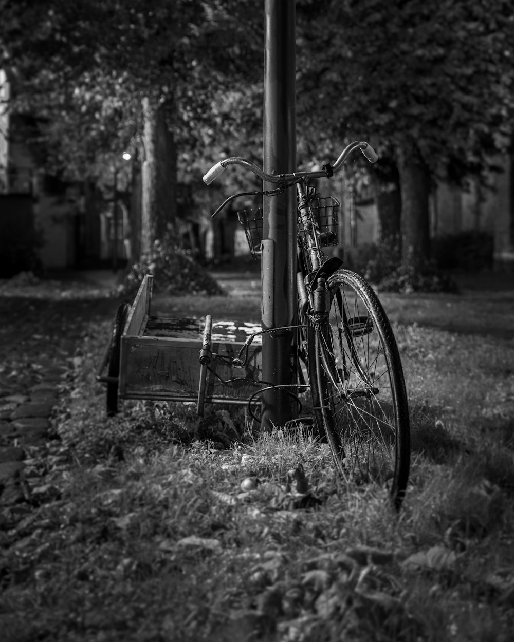 a bicycle parked next to a pole in the grass