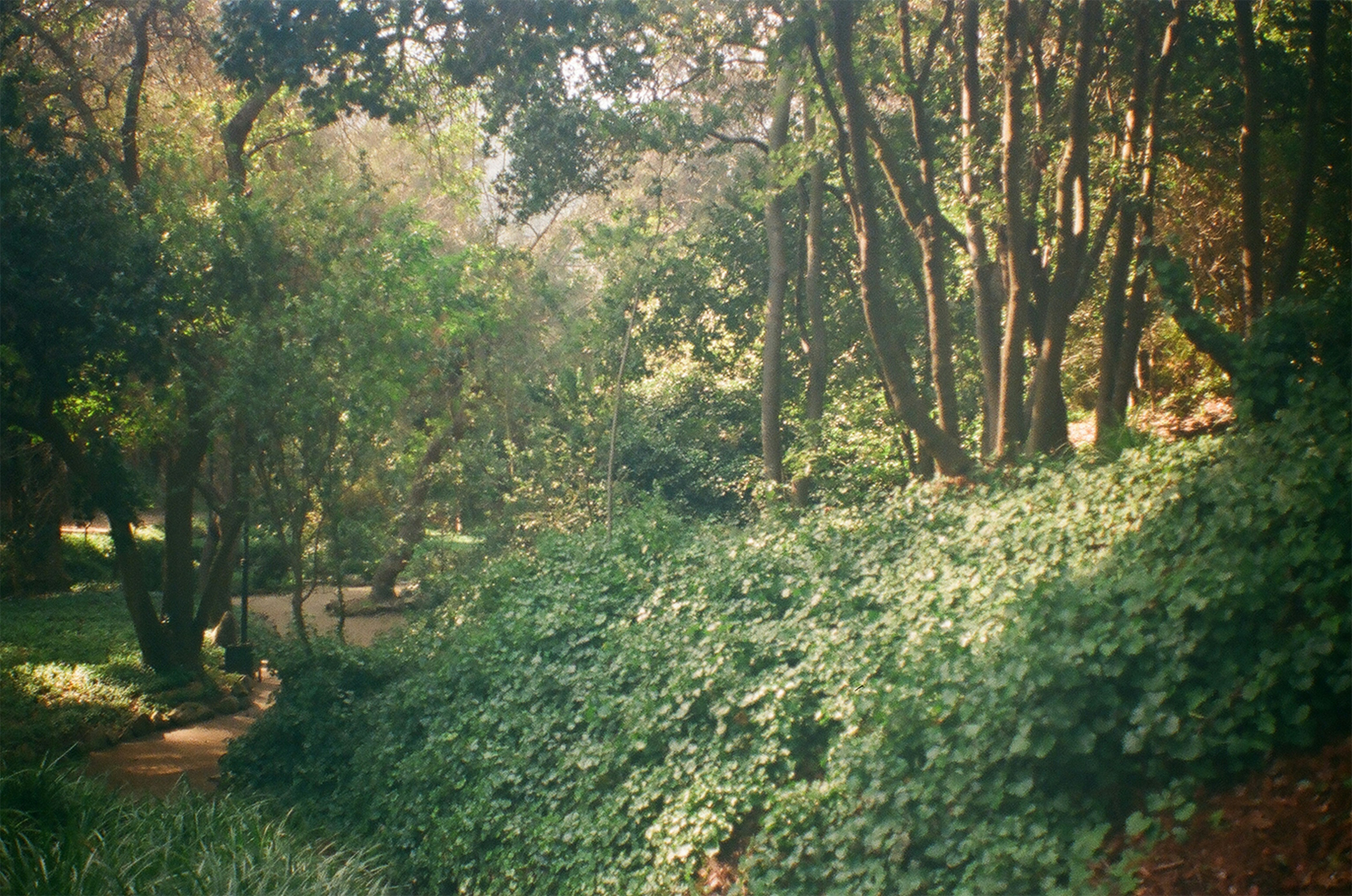 Photo by amenabarladrondeguevara