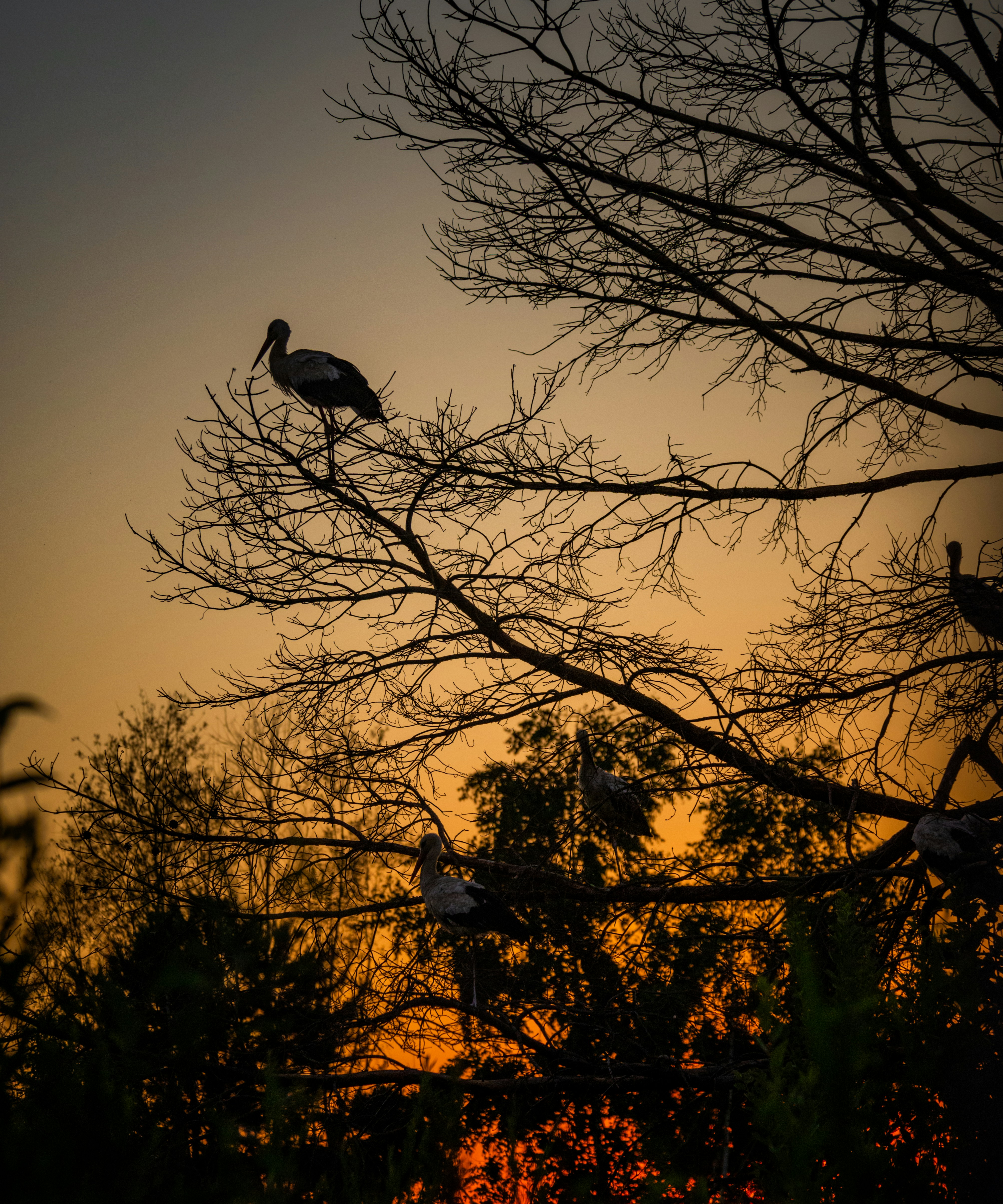 Photo by wladkiselev