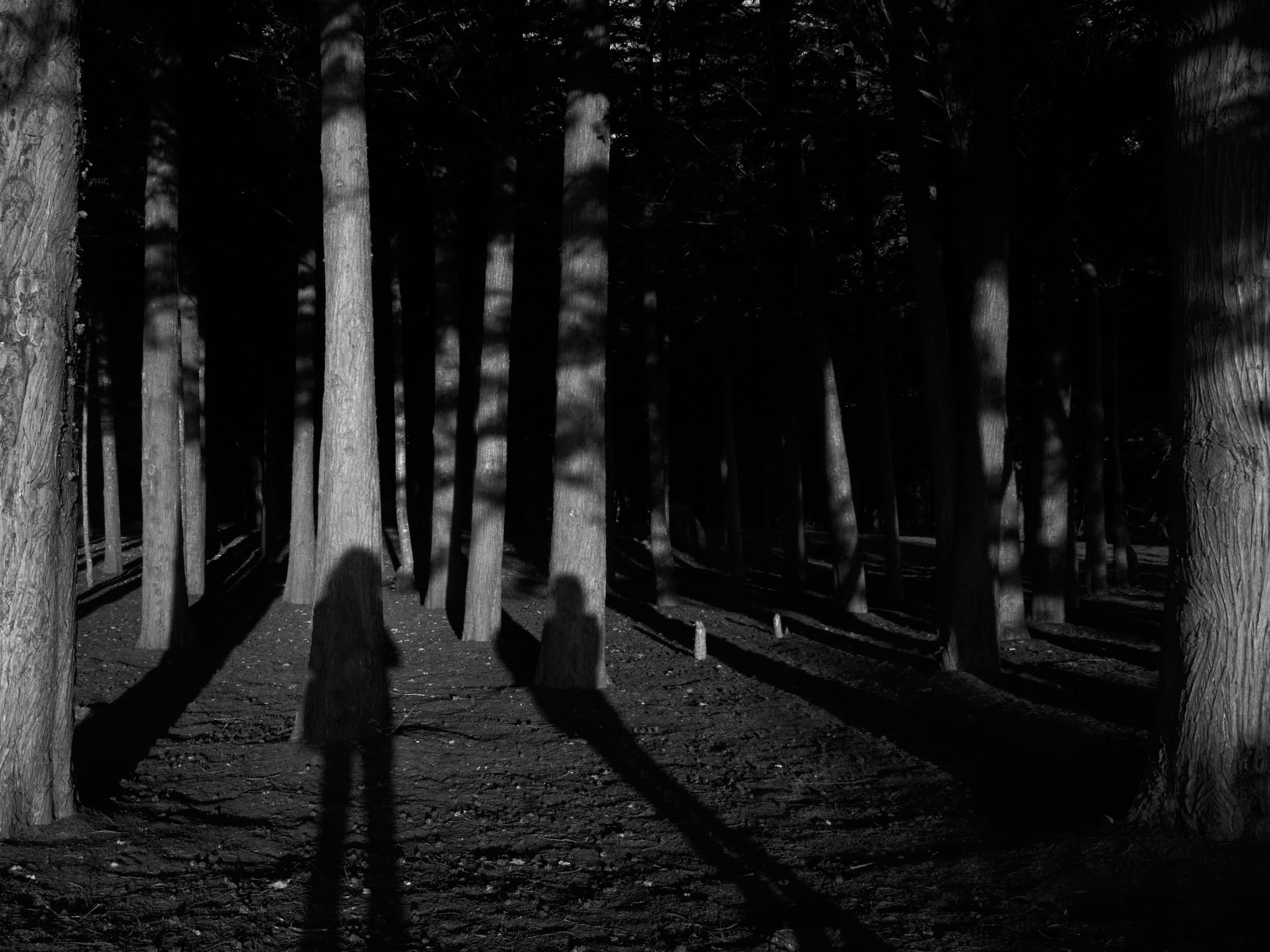 Photo by amenabarladrondeguevara