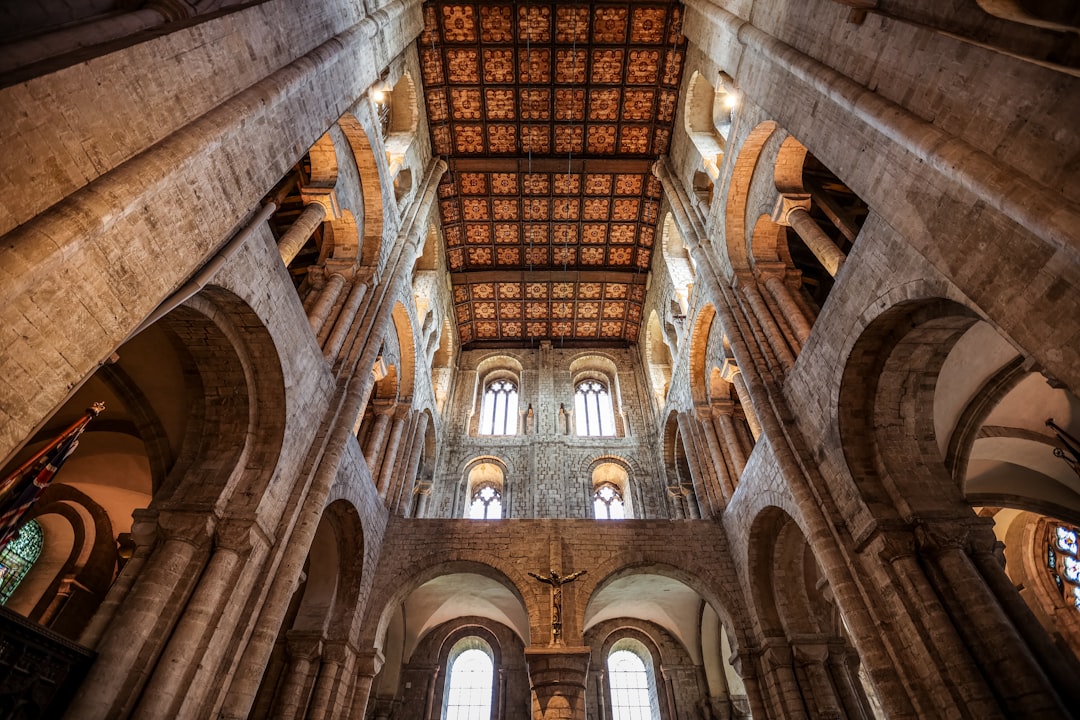 the ceiling of a large cathedral with stone columns,