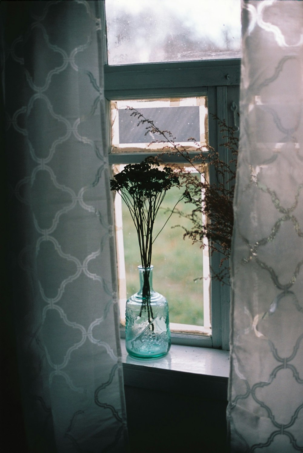 un vase avec des fleurs assis sur un rebord de fenêtre